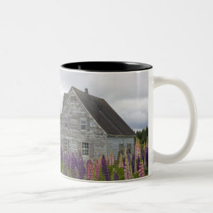 Caneca De Café Em Dois Tons América do Norte, Canadá, Ilha do Príncipe Eduardo
