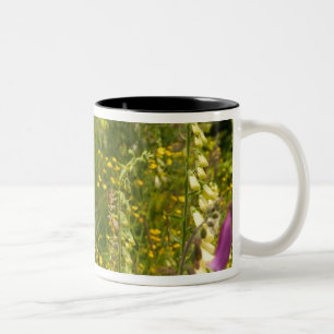 Caneca De Café Em Dois Tons América do Norte, Canadá, Ilhas Queen Charlotte, 5