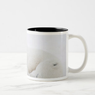Caneca De Café Em Dois Tons América do Norte, Canadá, Manitoba, Churchill. 3