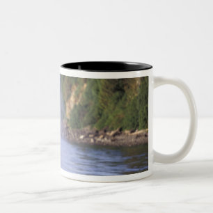 Caneca De Café Em Dois Tons América do Norte, EUA, Alasca, Inside Passage.