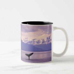 Caneca De Café Em Dois Tons América do Norte, EUA, Alasca, Passagem Interior.