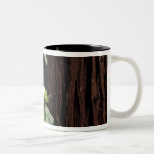 Caneca De Café Em Dois Tons América do Norte, EUA, Califórnia, Yosemite 2
