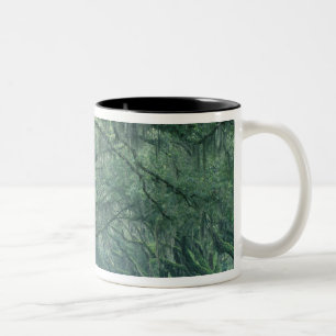 Caneca De Café Em Dois Tons América do Norte, EUA, Geórgia, Savannah,