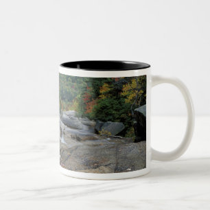 Caneca De Café Em Dois Tons América do Norte, EUA, NH, Folhagem de outono em N