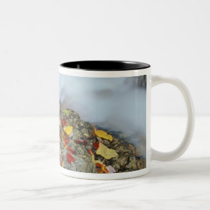 Caneca De Café Em Dois Tons América do Norte, EUA, NH, Outono na Nova Inglater
