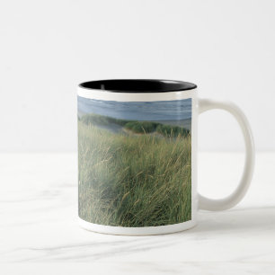 Caneca De Café Em Dois Tons América do Norte, EUA, Oregon, Canon Beach,