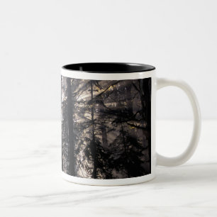 Caneca De Café Em Dois Tons América do Norte, EUA, Washington, Floresta Nacion