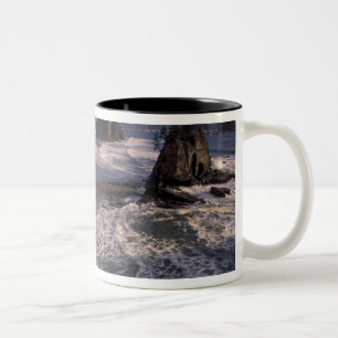 Caneca De Café Em Dois Tons América do Norte, EUA, Washington, Olympic NP,