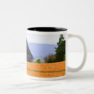 Caneca De Café Em Dois Tons América do Norte, EUA, Washington, Vale de Skagit.