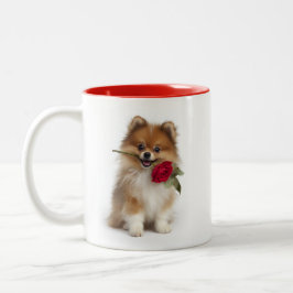 Caneca De Café Em Dois Tons Amor de Pomerânia
