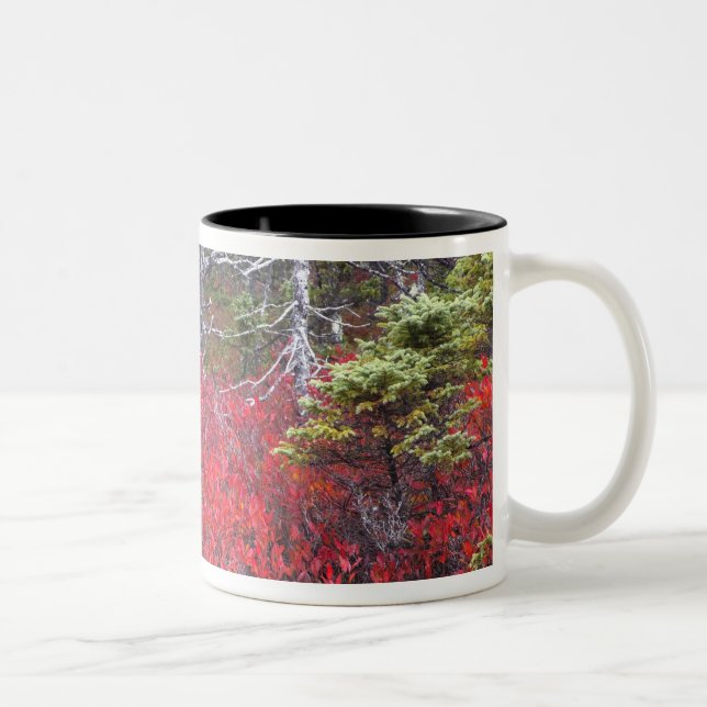 Caneca De Café Em Dois Tons Amoreiras e pinheiros (Direita)