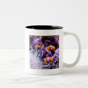 Caneca De Café Em Dois Tons Amphiprion Ocellaris de Ocellaris Clownfish  