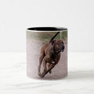 Caneca De Café Em Dois Tons Amstaff em execução