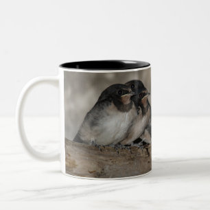 Caneca De Café Em Dois Tons Andorinhas jovens empoleiradas num ramo