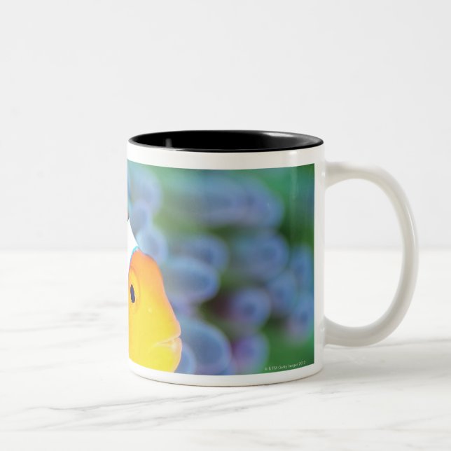 Caneca De Café Em Dois Tons Anemonefish do palhaço (Direita)