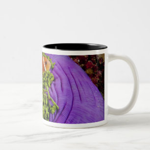 Caneca De Café Em Dois Tons Anemonefish e grande anêmona