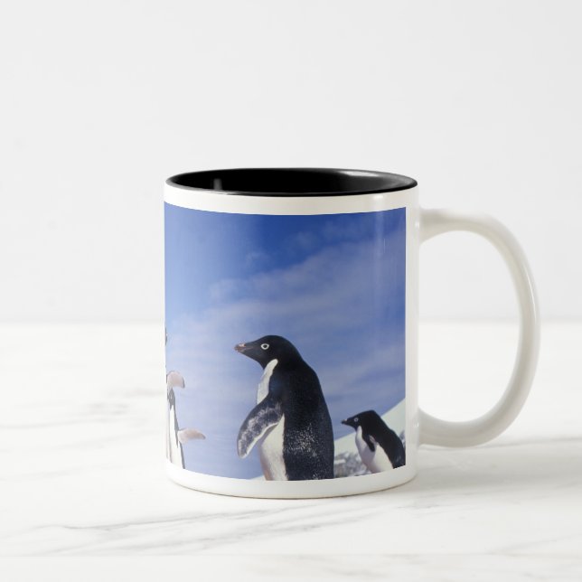 Caneca De Café Em Dois Tons Antártica, Adelie Penguin Pygoscelis (Direita)