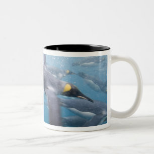 Caneca De Café Em Dois Tons Antártica, Ilha da Geórgia do Sul, Reino Unido