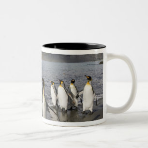 Caneca De Café Em Dois Tons Antártica, Ilha da Geórgia do Sul (UK), Antártico