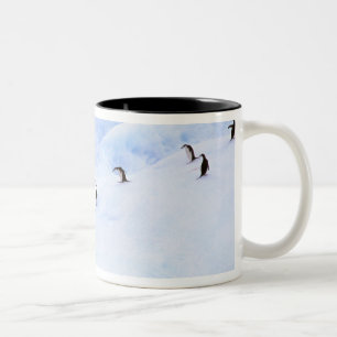 Caneca De Café Em Dois Tons Antártica, Península Antártica. Chinstrap