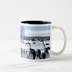 Caneca De Café Em Dois Tons Antártica, Península Antártica, Mar Weddell, 5
