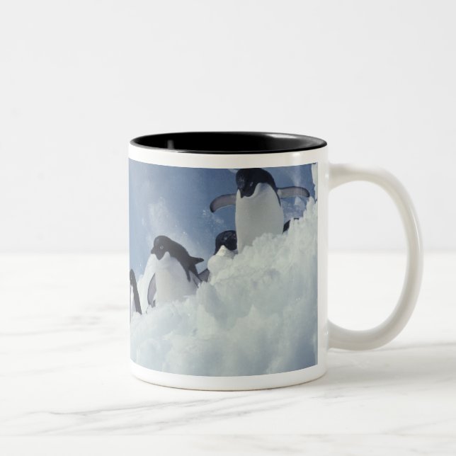 Caneca De Café Em Dois Tons Antártica. Pinguins addeliados (Direita)