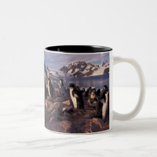 Caneca De Café Em Dois Tons Antártida, filhotes de pinguim Adelie