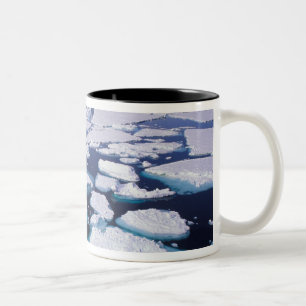 Caneca De Café Em Dois Tons Antártida, Fluxo de gelo.