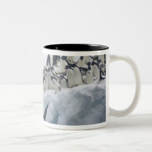 Caneca De Café Em Dois Tons Antártida, Ilha Paulet. Pinguins Adelie