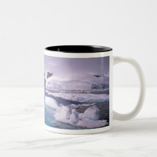 Caneca De Café Em Dois Tons Antártida. Paisagens de gelo antárticas 2