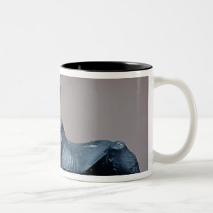 Caneca De Café Em Dois Tons Anubis, deus egípcio do morto de uma caixa