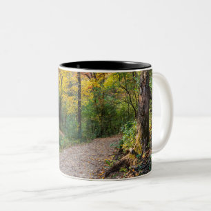 Caneca De Café Em Dois Tons ao longo de uma trilha de floresta em declínio, co