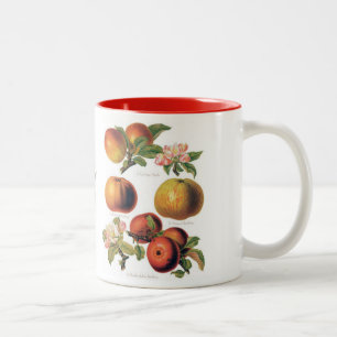 Caneca De Café Em Dois Tons Apple agride (você pode personalizar)