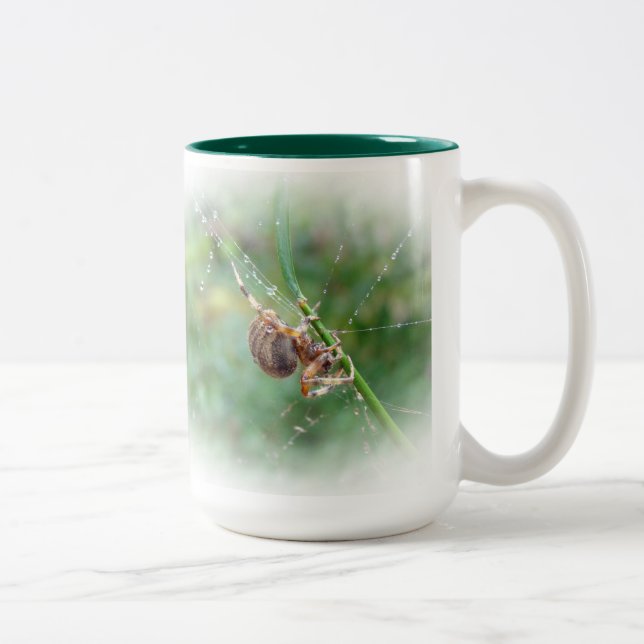 Caneca De Café Em Dois Tons Araneus - Orb Weaver Spider (Direita)