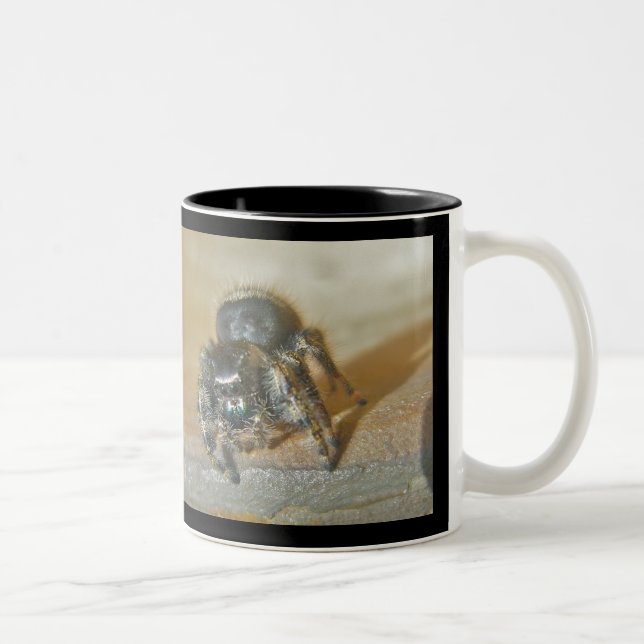 Caneca De Café Em Dois Tons Aranha-Pulga (Phiddipus audax) (Direita)