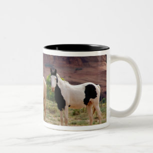 Caneca De Café Em Dois Tons Arizona, Reserva Indígena Navajo, Chinle,