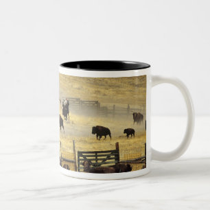 Caneca De Café Em Dois Tons Arredondamento da Faixa Nacional de Bisontes em Mo