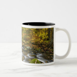 Caneca De Café Em Dois Tons Arroyo Sanderson. Bosque Estatal Chester-Blanford.