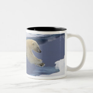 Caneca De Café Em Dois Tons Ártico, Svalbard, urso polar que estende e