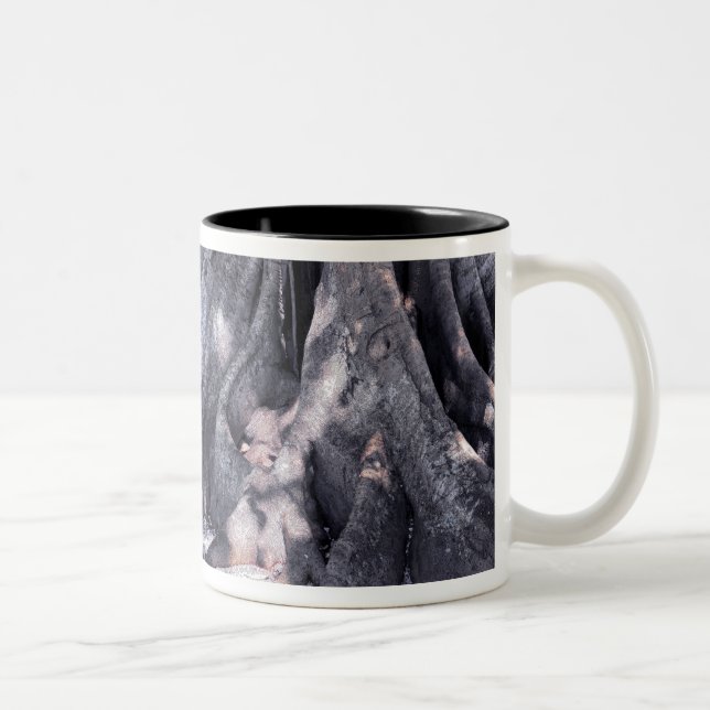 Caneca De Café Em Dois Tons Árvore Banyan (Direita)