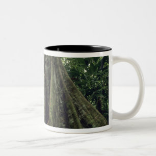 Caneca De Café Em Dois Tons Árvore com contrafortes na floresta tropical, Corc