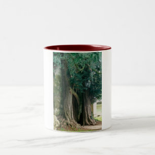 Caneca De Café Em Dois Tons Árvores Antigas