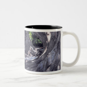 Caneca De Café Em Dois Tons Árvores Banyan
