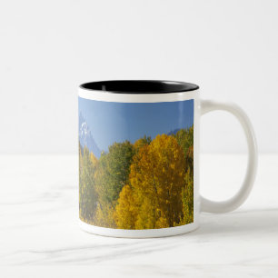 Caneca De Café Em Dois Tons Árvores de Aspen com a cordilheira Teton