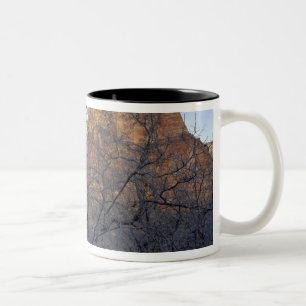 Caneca De Café Em Dois Tons Árvores de carvalho no inverno, Corte dos Patriarc