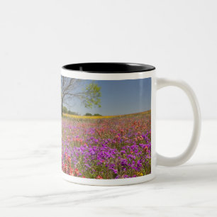 Caneca De Café Em Dois Tons Árvores de mesquite de primavera crescendo em flor
