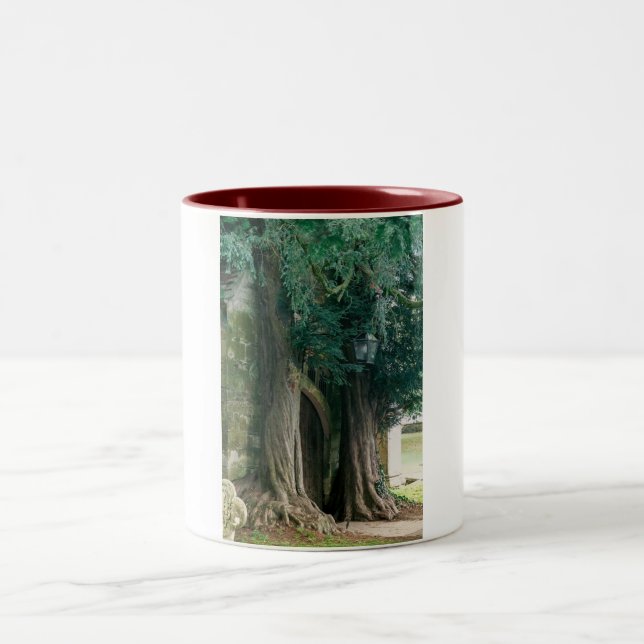 Caneca De Café Em Dois Tons Árvores Velhas de Teixo (Centro)