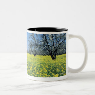 Caneca De Café Em Dois Tons As árvores de Apple em uma mostarda colocam, Napa