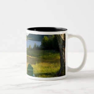 Caneca De Café Em Dois Tons As cátedras de Adirondack no gramado da Jordânia