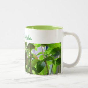 Caneca De Café Em Dois Tons As plantas mantêm-se crescer sementes com nome